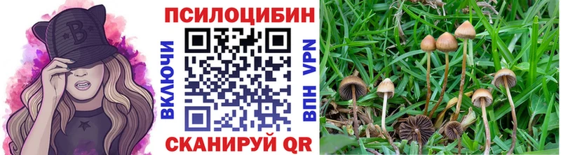 гидра как зайти Пушкино Галлюциногенные грибы мухоморы